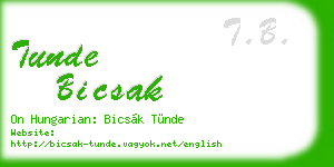 tunde bicsak business card