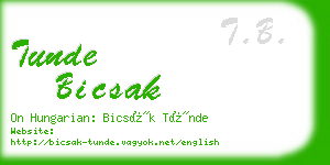 tunde bicsak business card